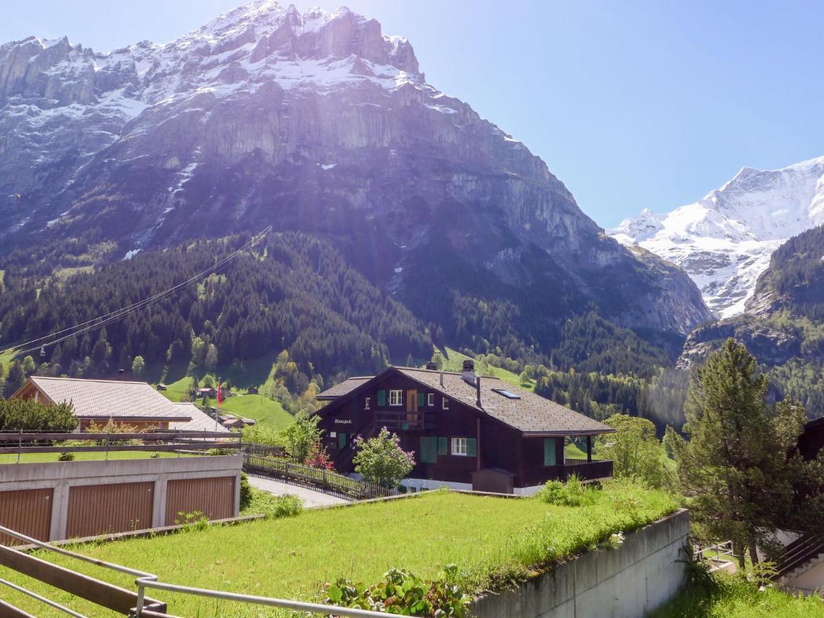 Apartment Chalet Almis-Bödeli-1 Grindelwald Exteriör bild