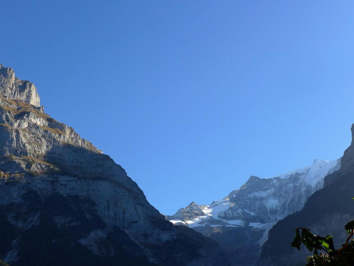 Apartment Chalet Almis-Bödeli-1 Grindelwald Exteriör bild