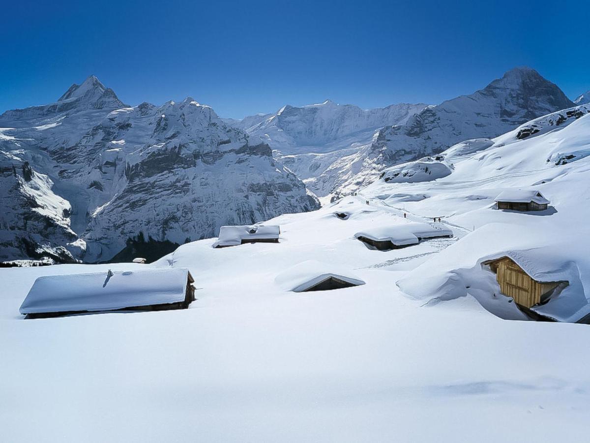 Apartment Chalet Almis-Bödeli-1 Grindelwald Exteriör bild